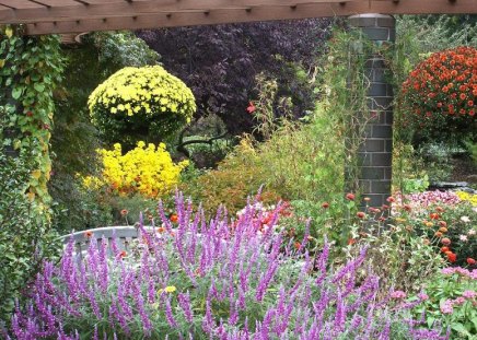 Relaxing - flowers, tree, plants, wood