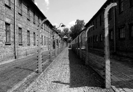 Auschwitz - landscape, poland, auschwitz, building