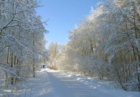 Winter - winter, finland, landscape, snow