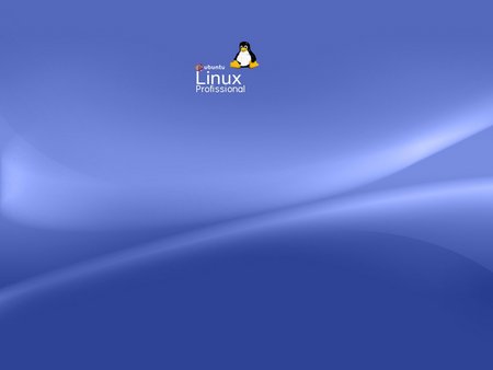 Ubuntu Linux Professional - professional, linux, ubuntu