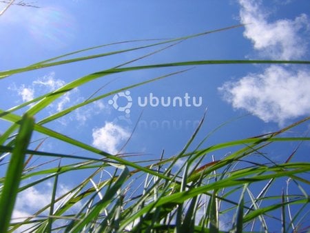 Ubuntu Sky - sky, hierba, ubuntu, grass