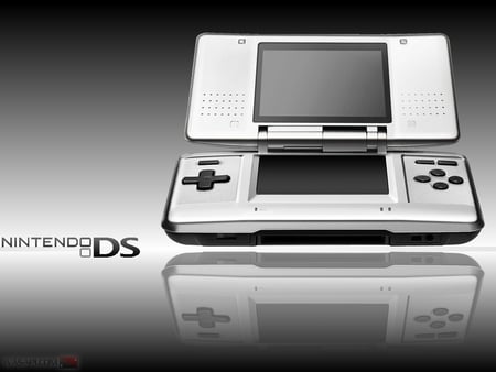 Nintendo DS - nintendo ds