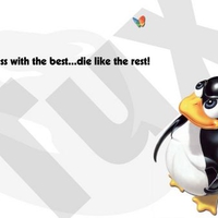 Tux_msn