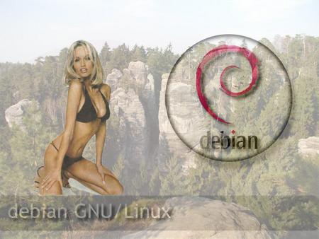 debian GNU-Linux - debian, debian babe