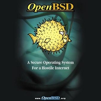 A Secure OS For A Hostile Internet