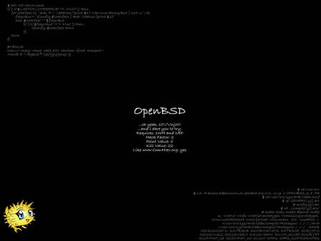 OpenBSD - openbsd