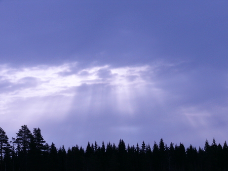 Untitled Wallpaper - sky, trees