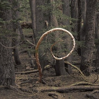 Debiantree