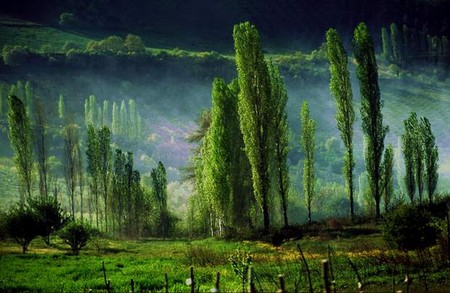 karadeniz-turkey - nature