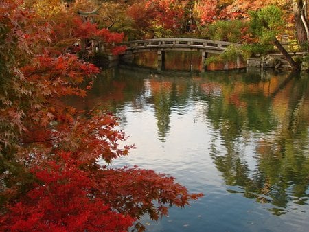 Emperor's Lake WDS - reflections, bridges, trees, water, tokyo, photography, leaves, fall, japan, asia