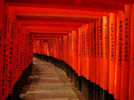 Fox Gate - japan, photography, foxes, kyoto, asia, gates