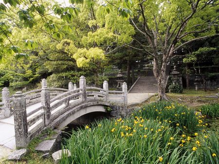 Castle Garden WDS - trees, photography, water, gardens, castles, japan, flowers, bridges, honshu