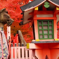 Inari Shrine WDS