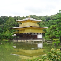 Kinkakuji WDS  XXL