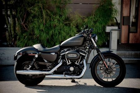 883 Sportster - motorcycles, sportster, rides, 883