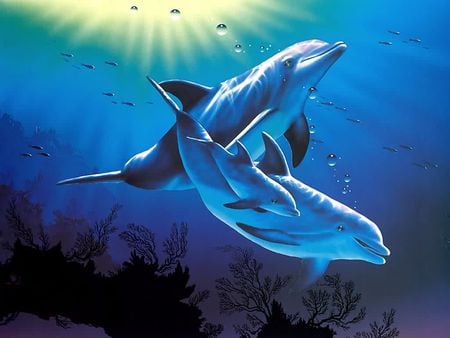 Dolphins - ocean, swim, swimming, water, dolphins, sunrays, dolphin, underwater