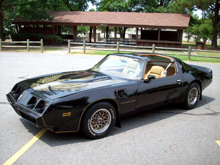 1980  Pontiac trans am