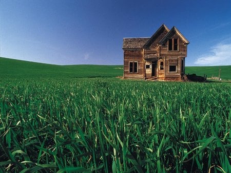 Wood house - wood-house, natural