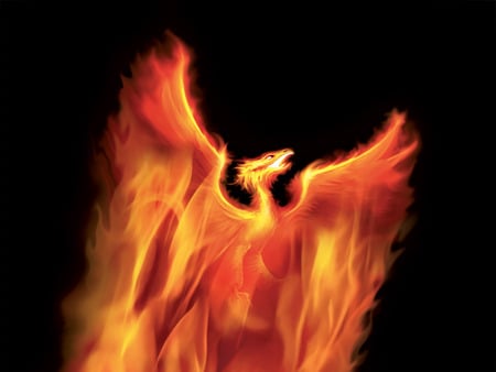 Phoenix - bird, 3d, phoenix, fire