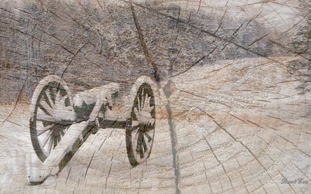 Confederate Cannon on Wood Chopping Block - wood, cannon, snow, winter, civil war, widescreen, rebel