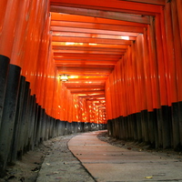 Torii at Fushimi-Inari