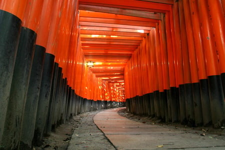 Torii at Fushimi-Inari - shrine, japan, fushimi-inari, torii, gates