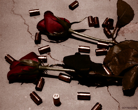 Circadian Rhythm - goth, roses, casing, shells, bullets, melted, chocolate