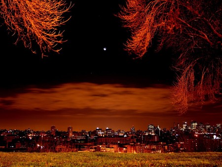 Night City - sky, clouds, city, trees, color, night