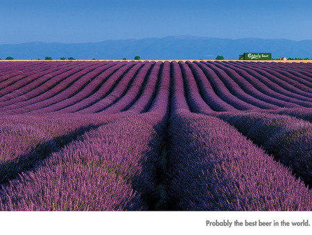 lavender field, beer commercial