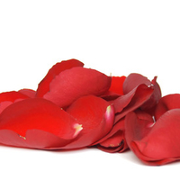 red rose petals