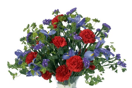 sweet parfait - flowers, carnations, bouquet, iris