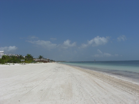 Race You to the Finish Line - beach, sand, white, ocean