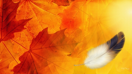 Remnants of Summer - autumn, gold, fall, yellow, feather, leaves, orange, colors, firefox persona