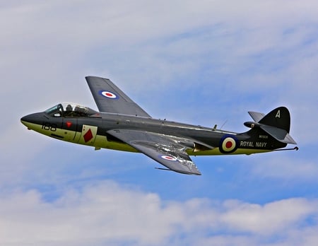 Hawker Sea Hawk - hawk, jet, seahawk, hawker, classic, plane, antique, sea