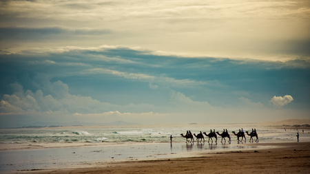 The Caravan - clouds, horizon, people, beach, landscape, caravan, sea, sand, waves, camels, sky