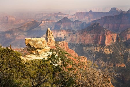 The grand canyon - trees, grand canyon, nature, mountains, sky