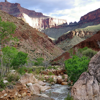 grand canyon