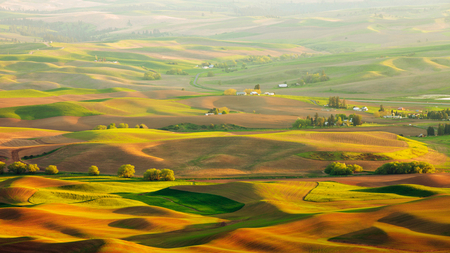 Beautiful Landscape - plains, houses, landscape, trees, beautiful, green, grass, road