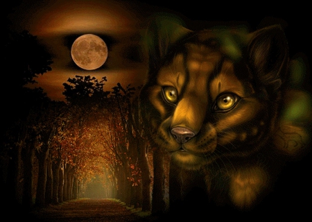 Fantasy Cat - moon, art, abstract, forest, cat, 3d, way, digital