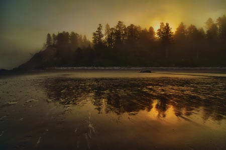 Sunrise - trees, water, fog, silence, image, beautiful, landscape, sunrise, morning, reflection, nature, view, background, lakes, sun