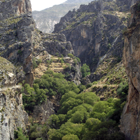 Sierra Nevada