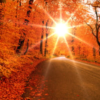 Autumn Road