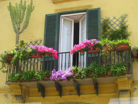 Balcony Garden - plants, pink, cute, flowers, lovely, balcony, green