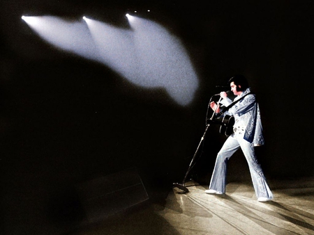 Mister Elvis Presley - music, people, stage, concert, other