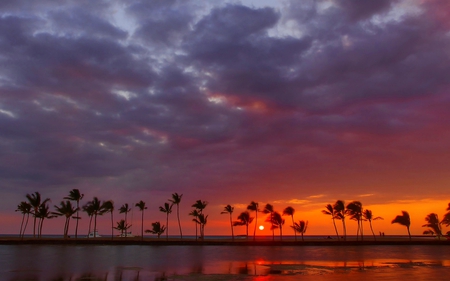 PALM BEACH SUNSET - sunset, beach, windy, sky, palm