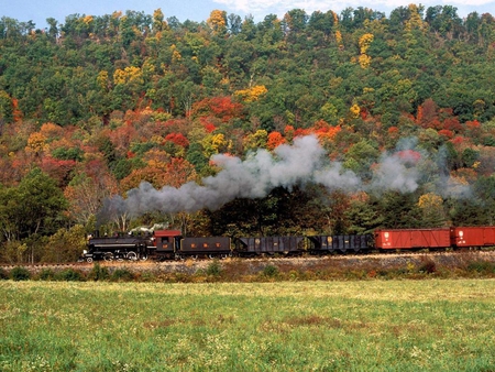 Autumn journey - season, autumn, trees, journey, image, tracks, train, rails, wallpaper, steam, nature, picture, colours, forest, wall, rail cars, phototgraphy, colors, photo