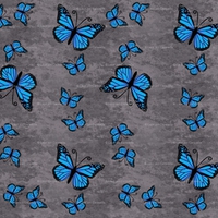 BLUE GRAY BUTTERFLIES