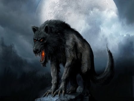 wolf - rock, night time, trees, full moon