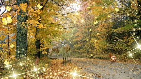 Change of Season - rabbit, trees, fawn, butterflies, road, sparkles, colors, forest, firefox persona, leaves, fall, autumn, deer, squirrel