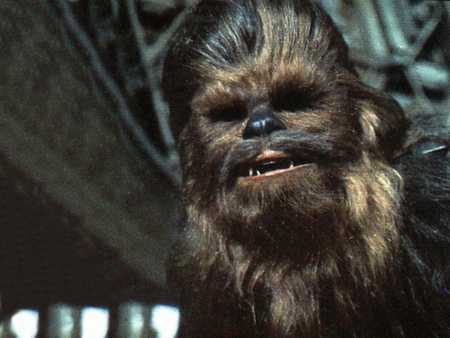 Chewbacca - fun, star wars, people, movie, other